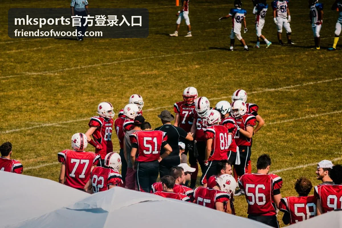 mksports官方登录入口 登录通道操作示意配图