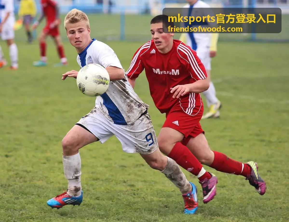 mksports官方登录入口 最新信息配图