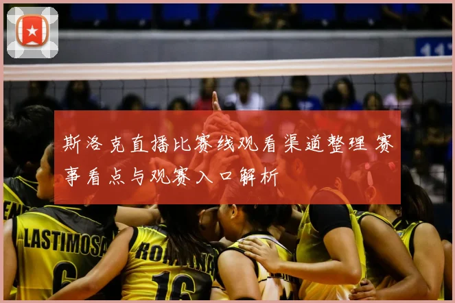 斯洛克直播比赛线观看渠道整理 赛事看点与观赛入口解析