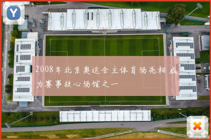 2008年北京奥运会主体育场亮相 成为赛事核心场馆之一